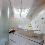 Wellness Romantika 3*