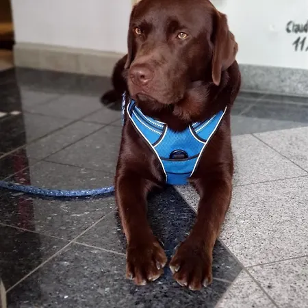 Hotel Wellness Romantika