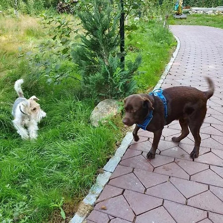 Wellness Romantika Hauzenberg