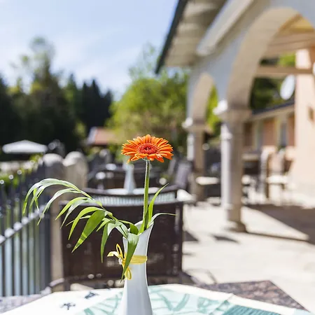 Hotel Wellness Romantika